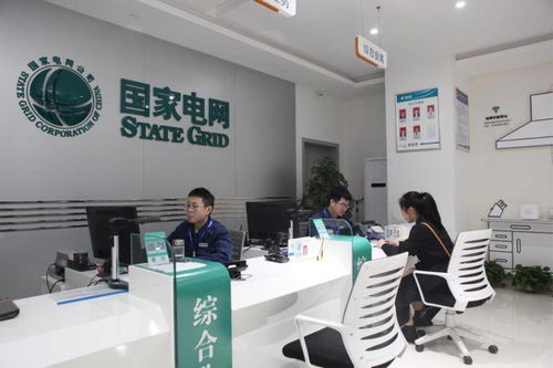 党建引领促提升，服务延伸护光明——国网三门峡供电公司劳务服务新篇章